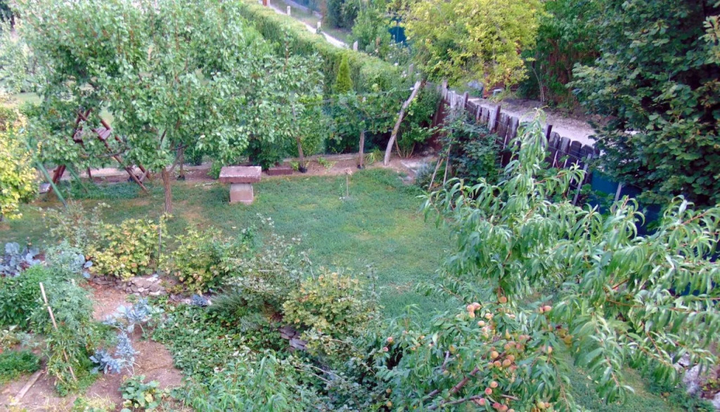 Andrew Guest House Tihany - фото 17