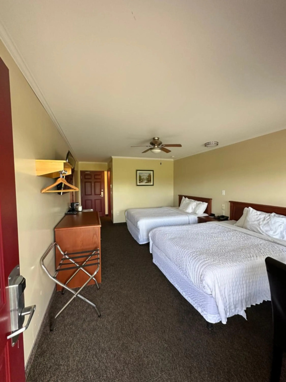 Hotel photo 25
