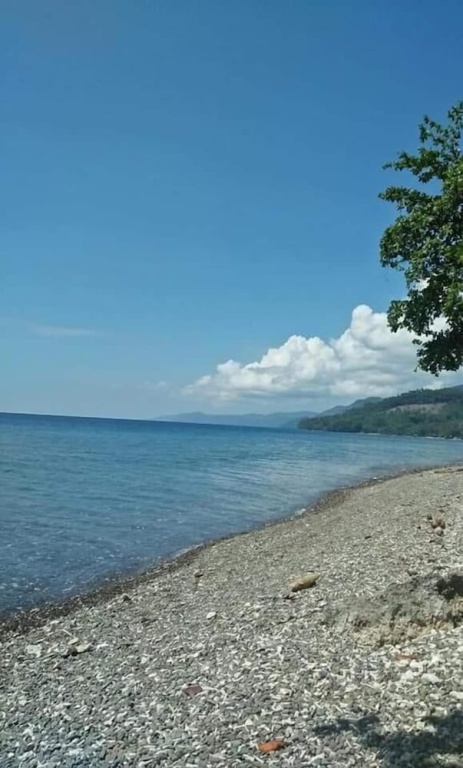 Beach & Waterfront