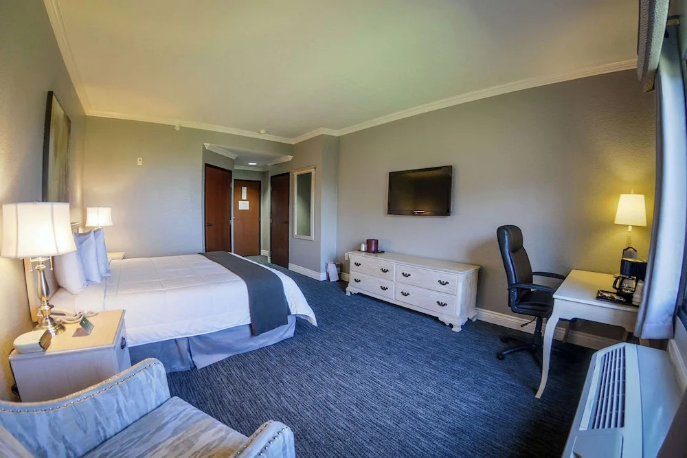 Standard Double room with lake view (full double bed)