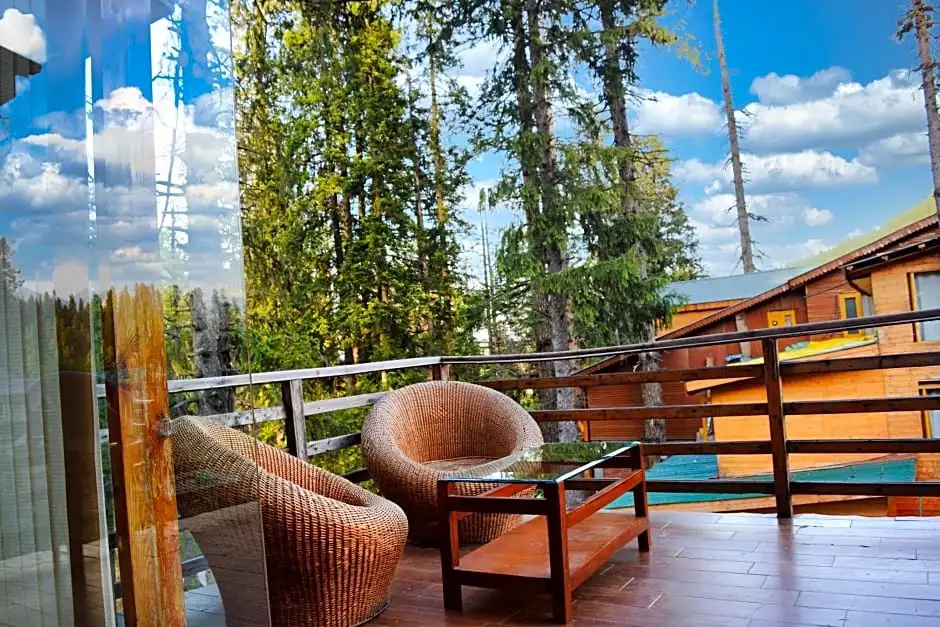 Hotel Pine Spring Gulmarg - Chambres