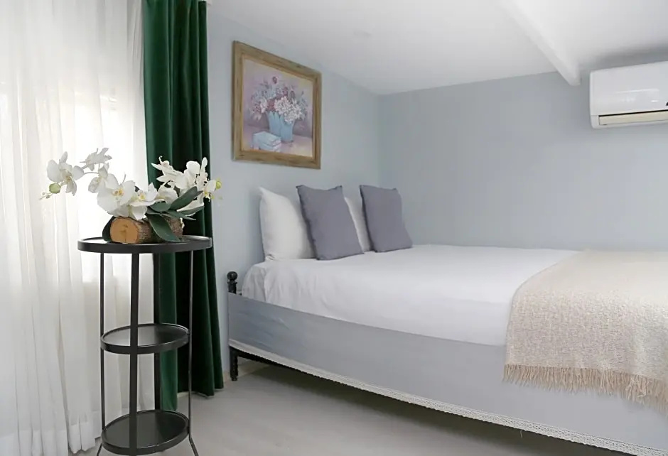 Standard Penthouse room