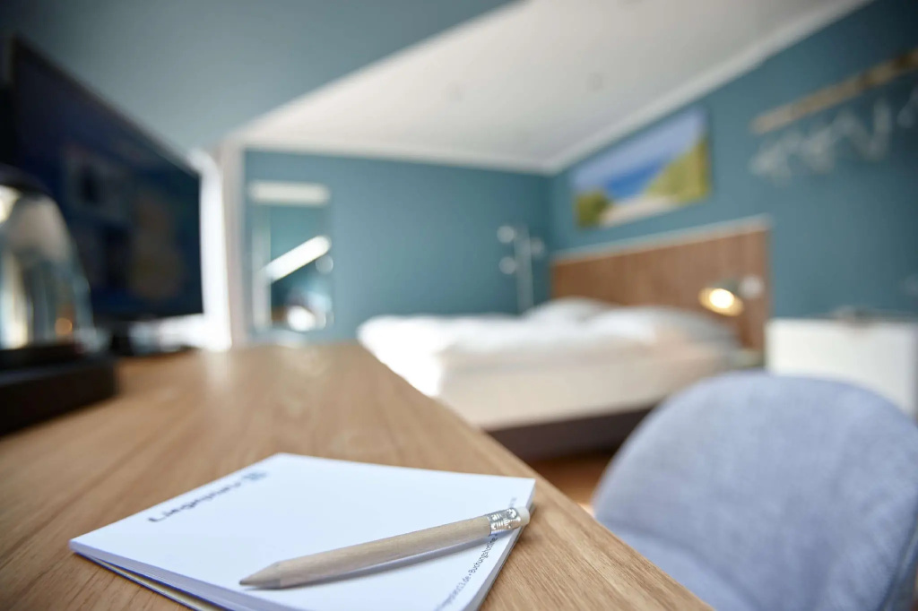 Standard Double room (full double bed)