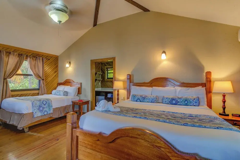 1 Bedroom Deluxe room with ocean view