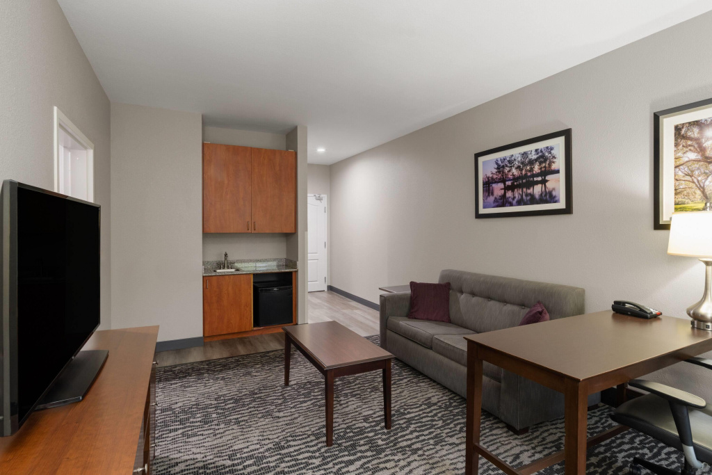 La Quinta Inn & Suites by Wyndham Baton Rouge Denham Springs - Général