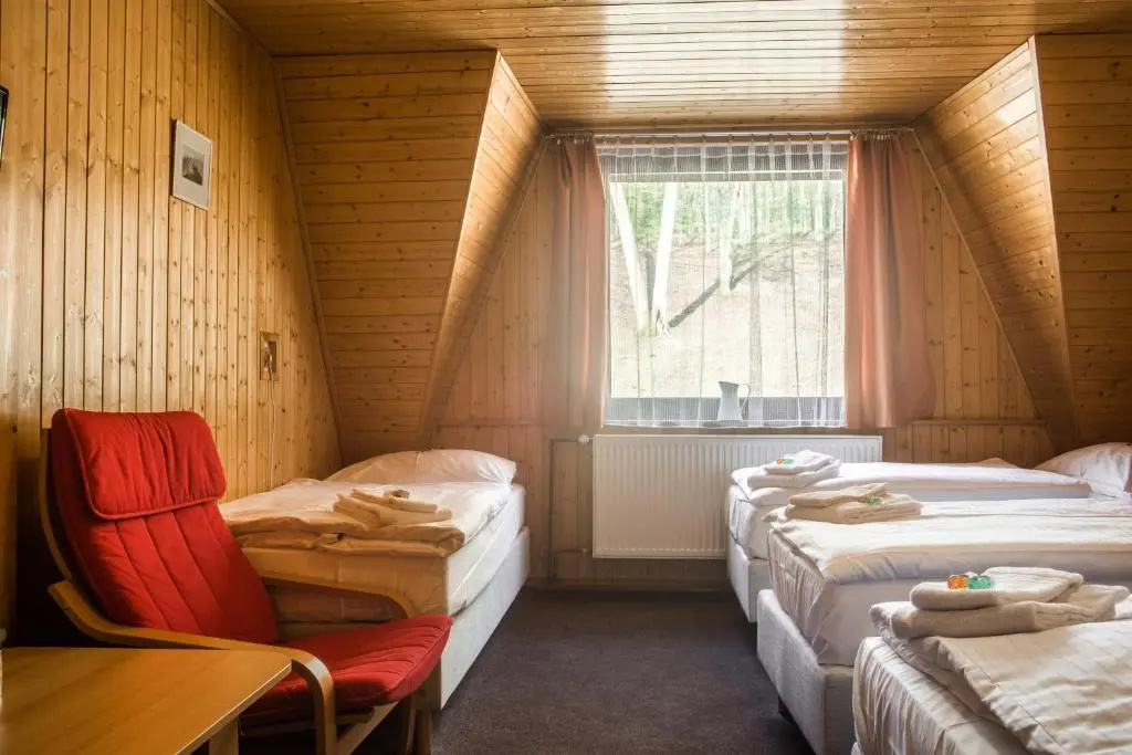 Hotel Konopiste Nova Myslivna - Chambres