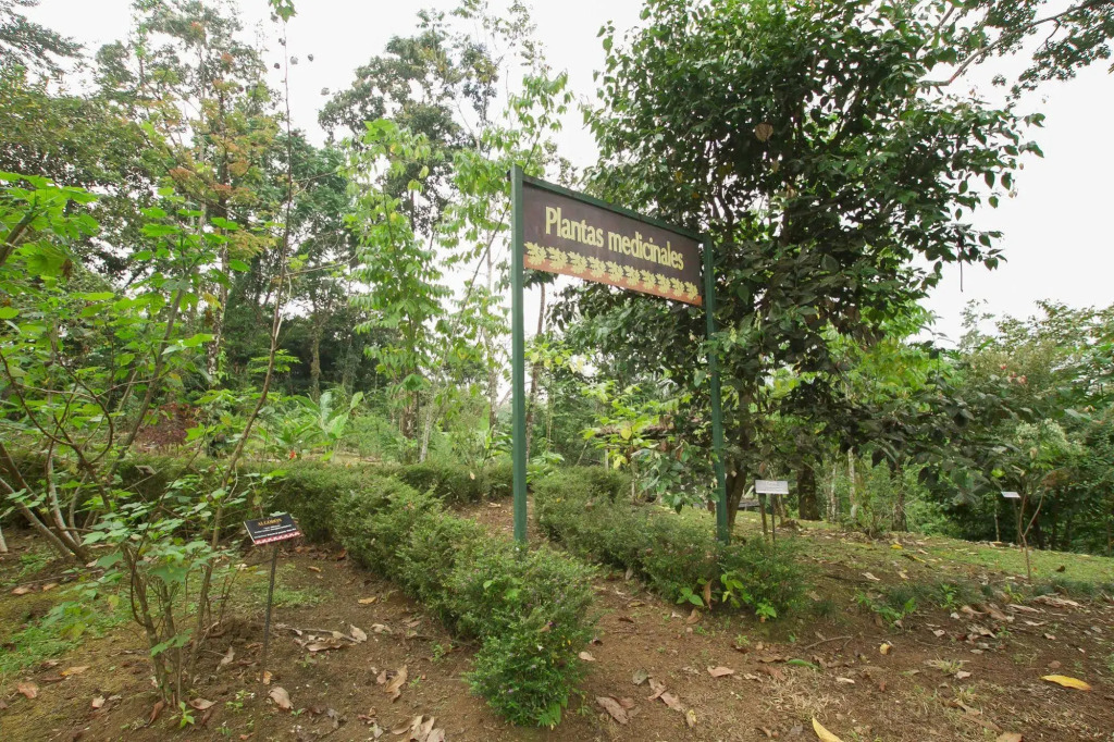 Villas Josipek - фото 10