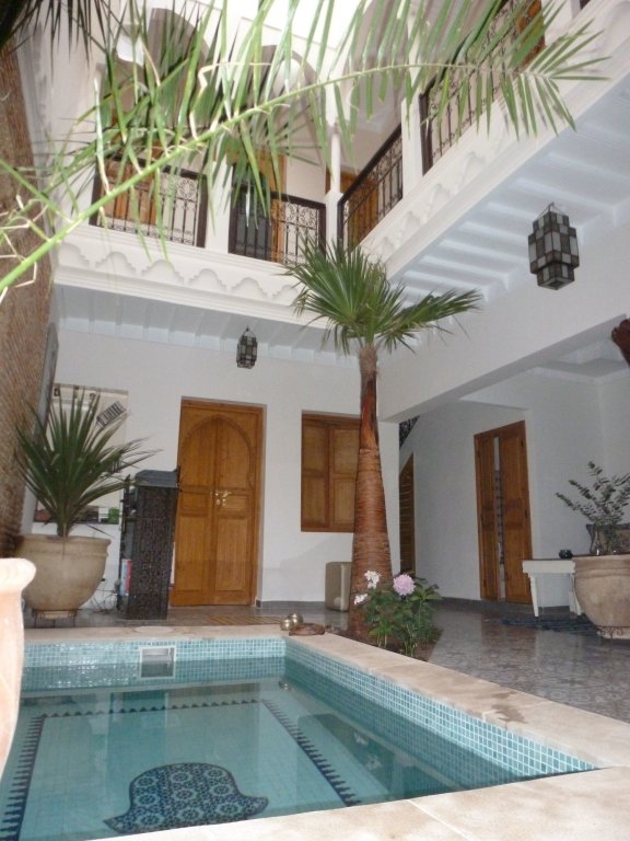 Riad Safina image