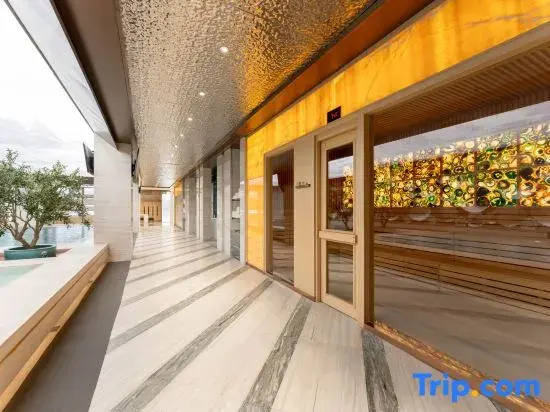 Balcony & Terrace