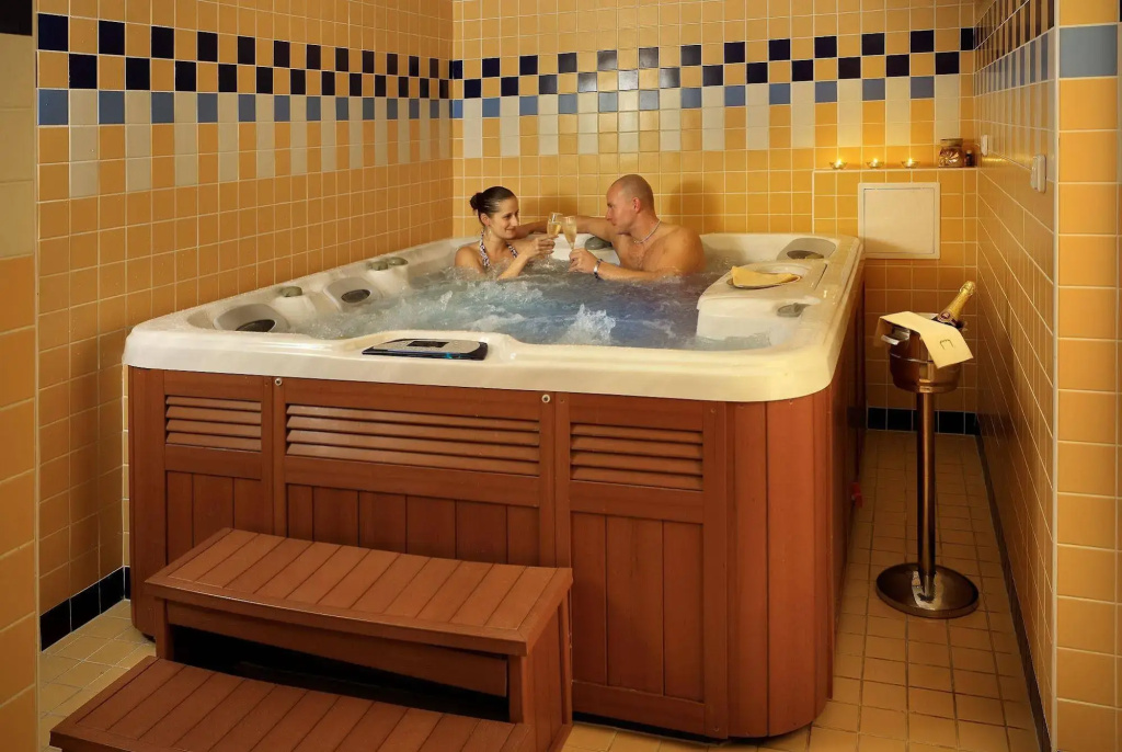 LH Parkhotel Hluboka Nad Vltavou Congress & Wellness - Général