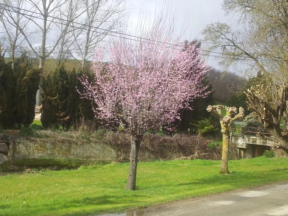 Moulin d'Encor