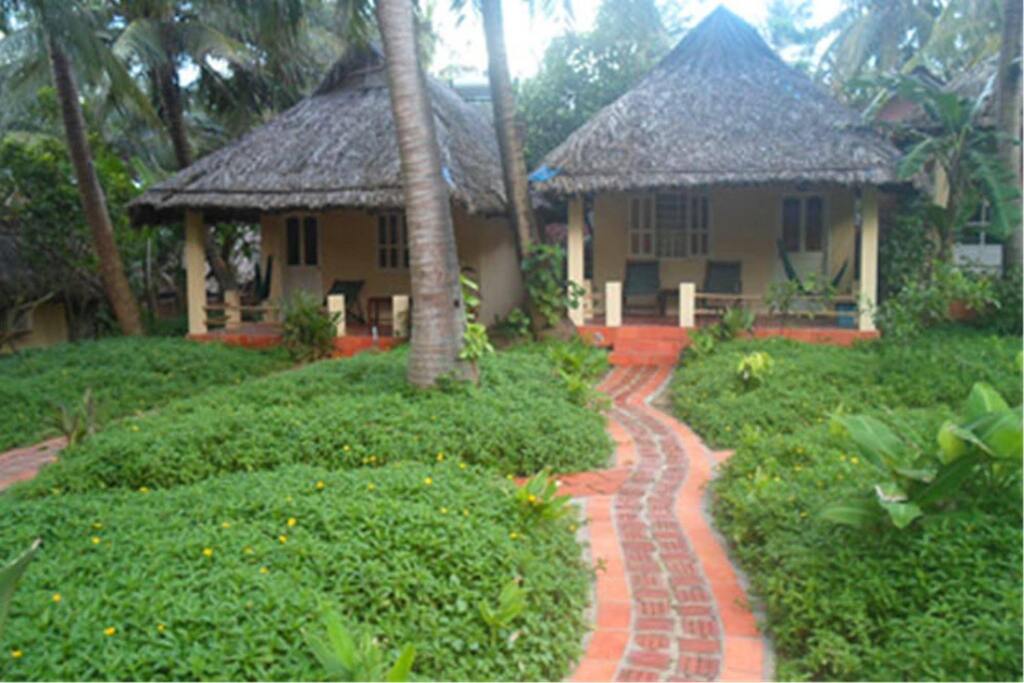 Image 11