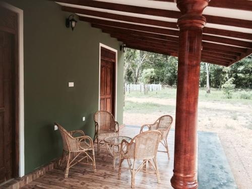Balcony & Terrace