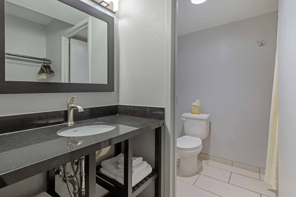 Clarion Hotel & Suites BWI Airport North - Général