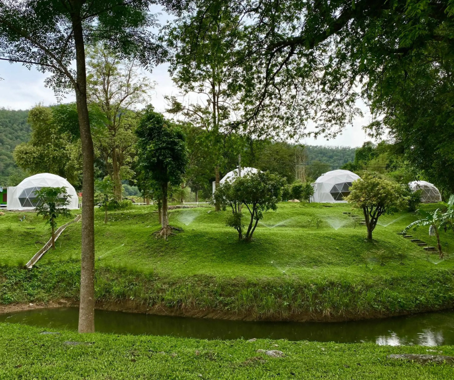 Panipa Organic Farm and Glamping