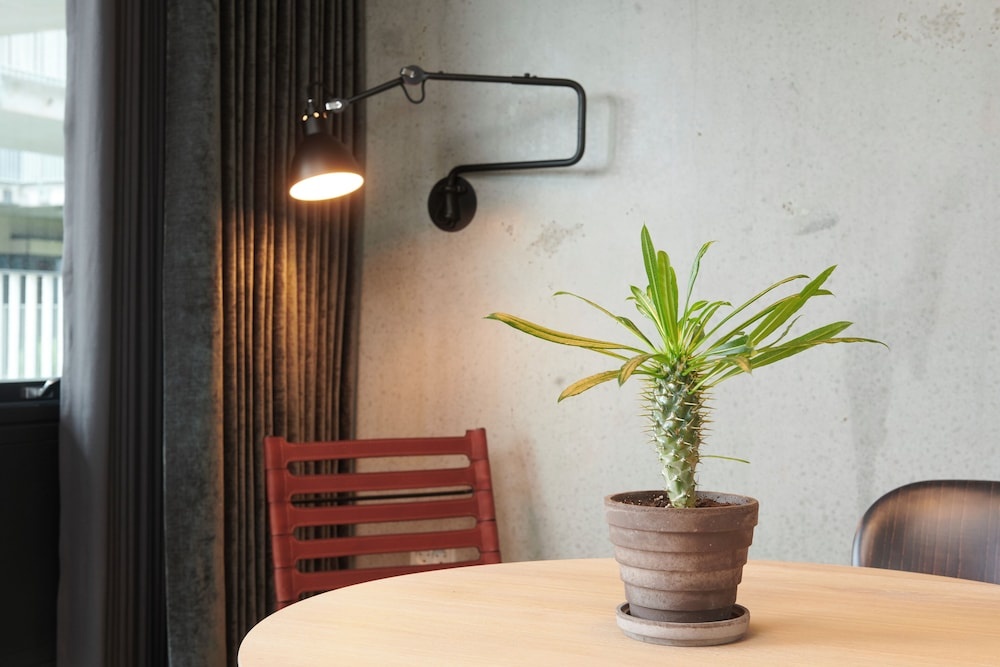 Family Apartment
