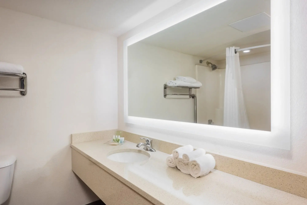 Holiday Inn St. Louis West Six Flags by IHG - Général