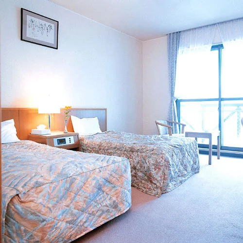 Standard Double room (twin beds)
