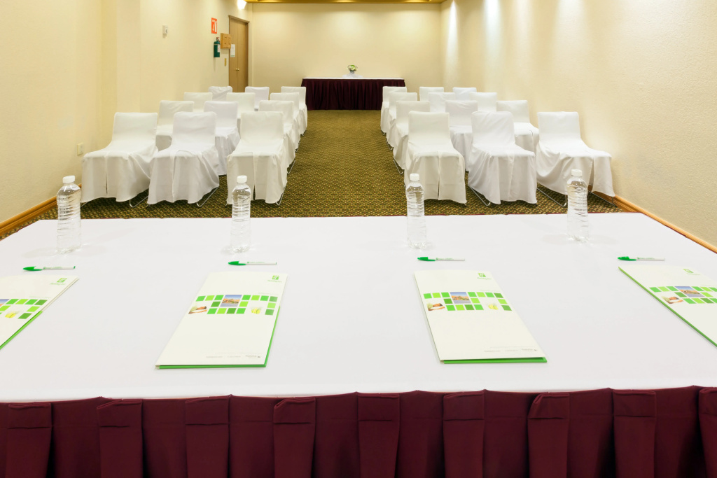 Holiday Inn La Piedad by IHG - Général