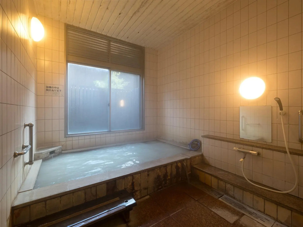 Hotel Seiunso - Général