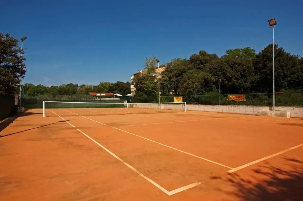 Guesthouse Barboska-pool & tennis court - фото 14