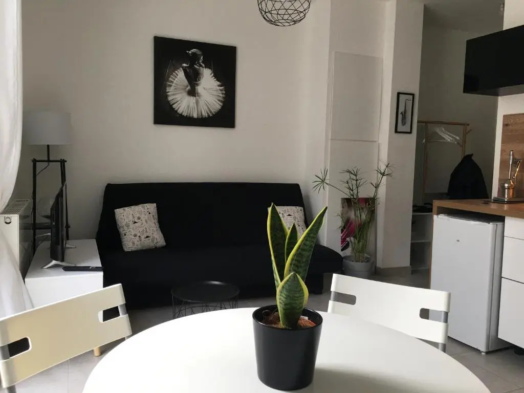 Voir la photo 2 — Appartement calme,lumineux ,coeur culturel deTOURS