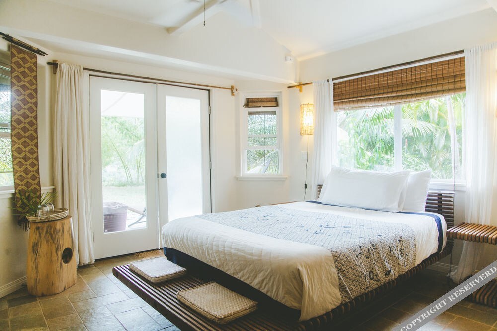 The Palmwood by null