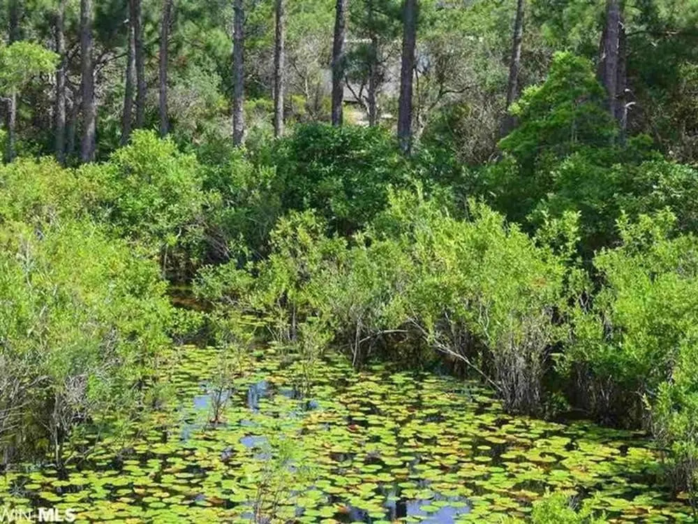 Blue Fish One by Meyer Vacation Rentals