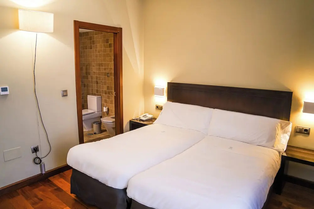 Standard Double room (twin beds)
