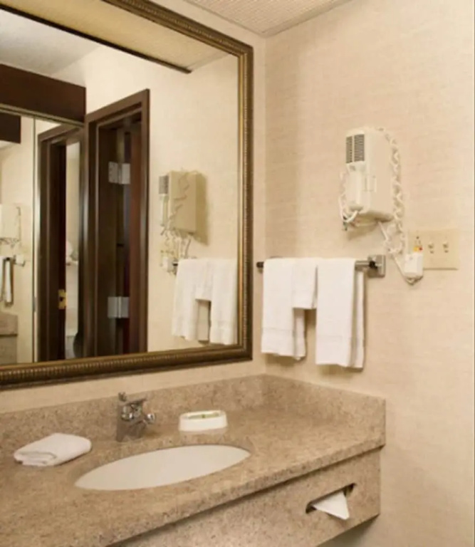Drury Inn & Suites St. Louis Collinsville - Chambres