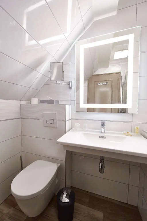Best Western Plus Au Cheval Blanc Mulhouse Nord - Chambres