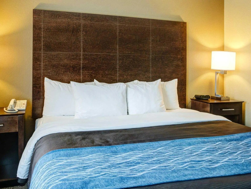 1 Bedroom Double Suite (full double bed)