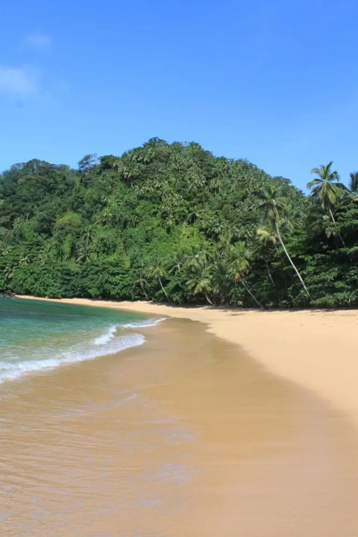 Beach & Waterfront