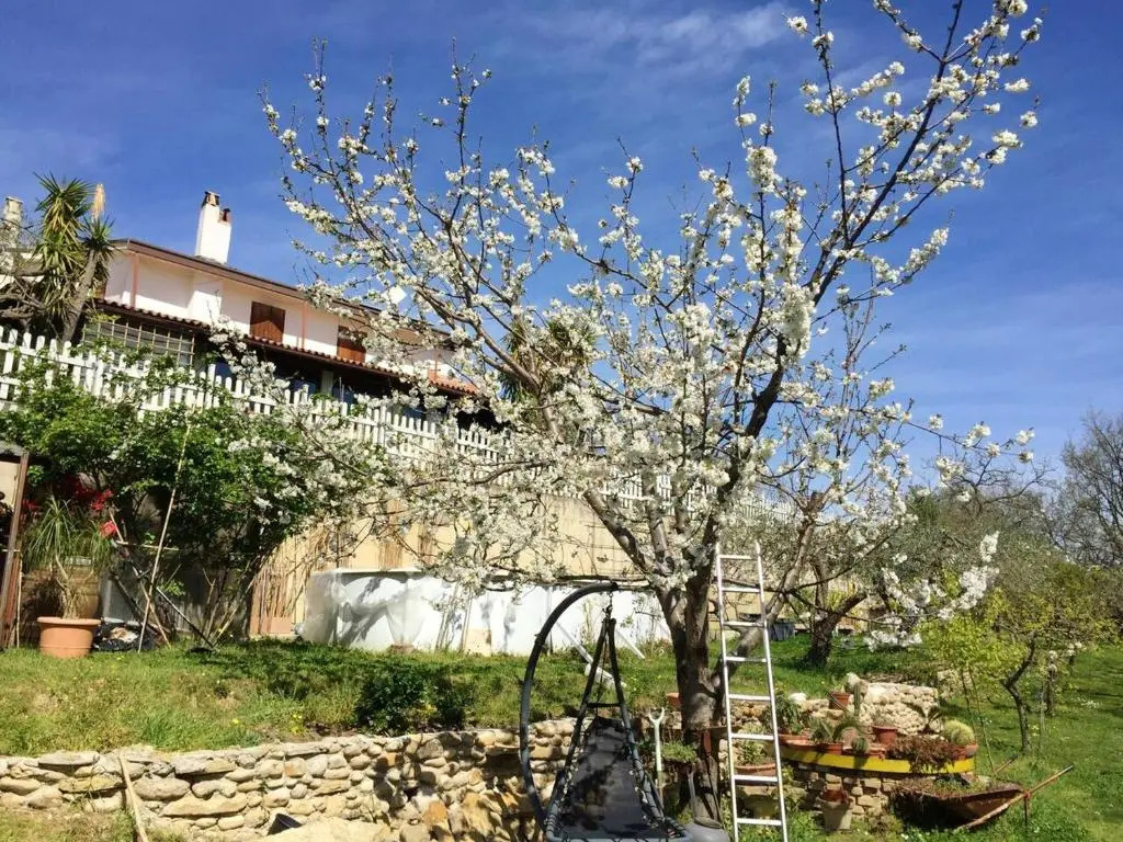 5 bedrooms villa with private pool enclosed garden and wifi at Treglio 6 km away from the beach