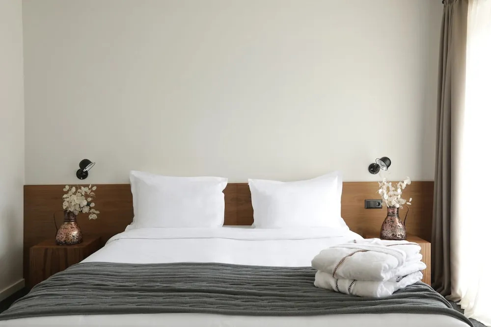 Standard Double room with mountain view (full double bed)