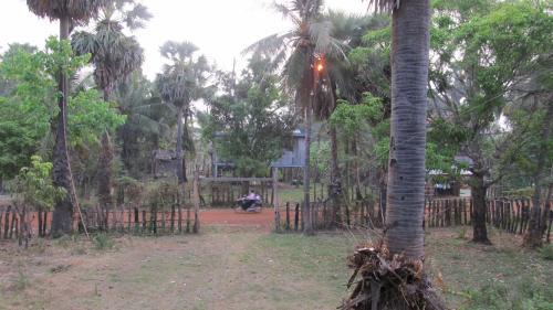 gallery_image_hidden_5