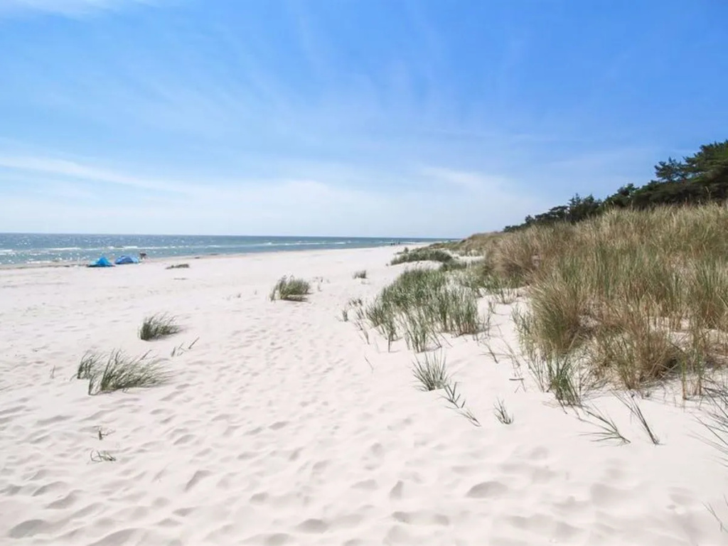 Beach & Waterfront