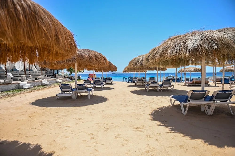 Beach & Waterfront