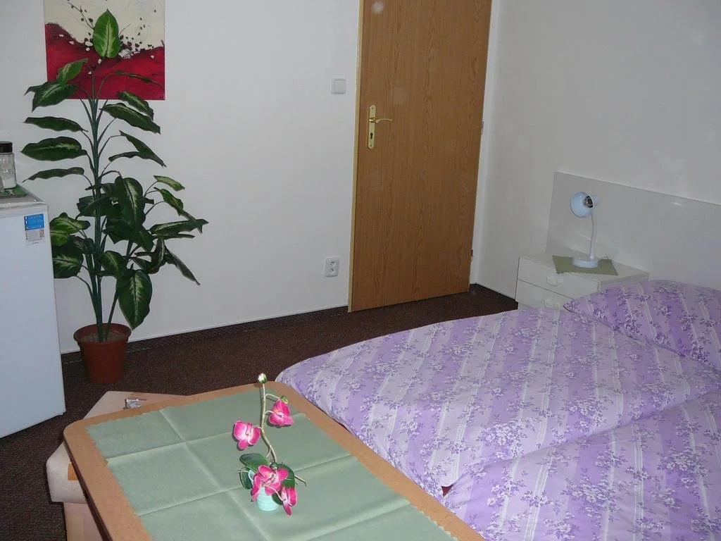 Hotel Pension u Mydlářů