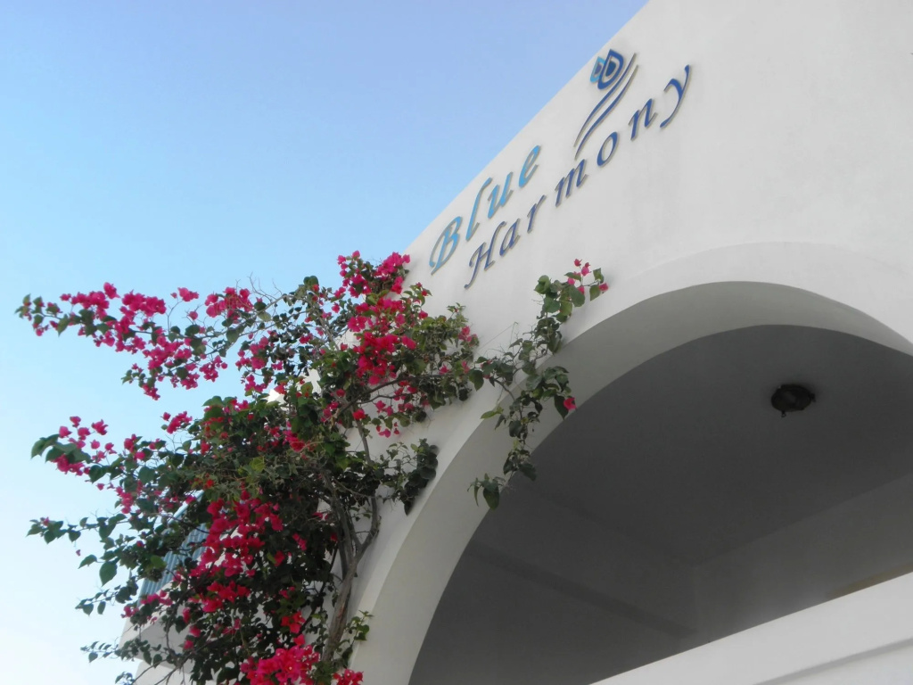 Blue Harmony Apartments
