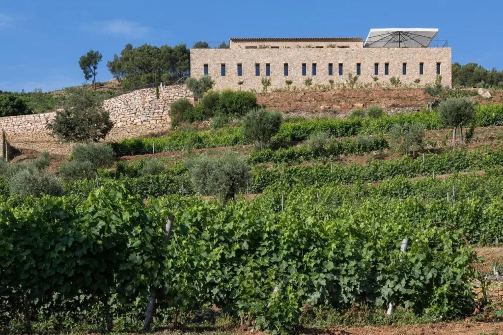 Voir la photo 1 — Domaine de la Font des Pères
