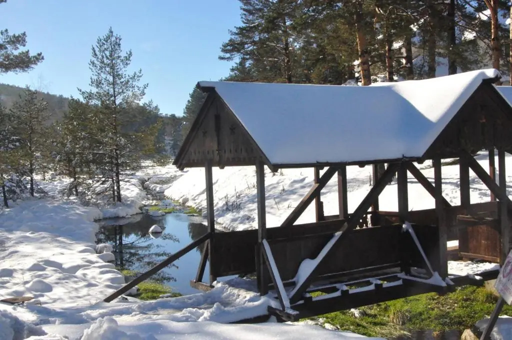 Apartments Varga