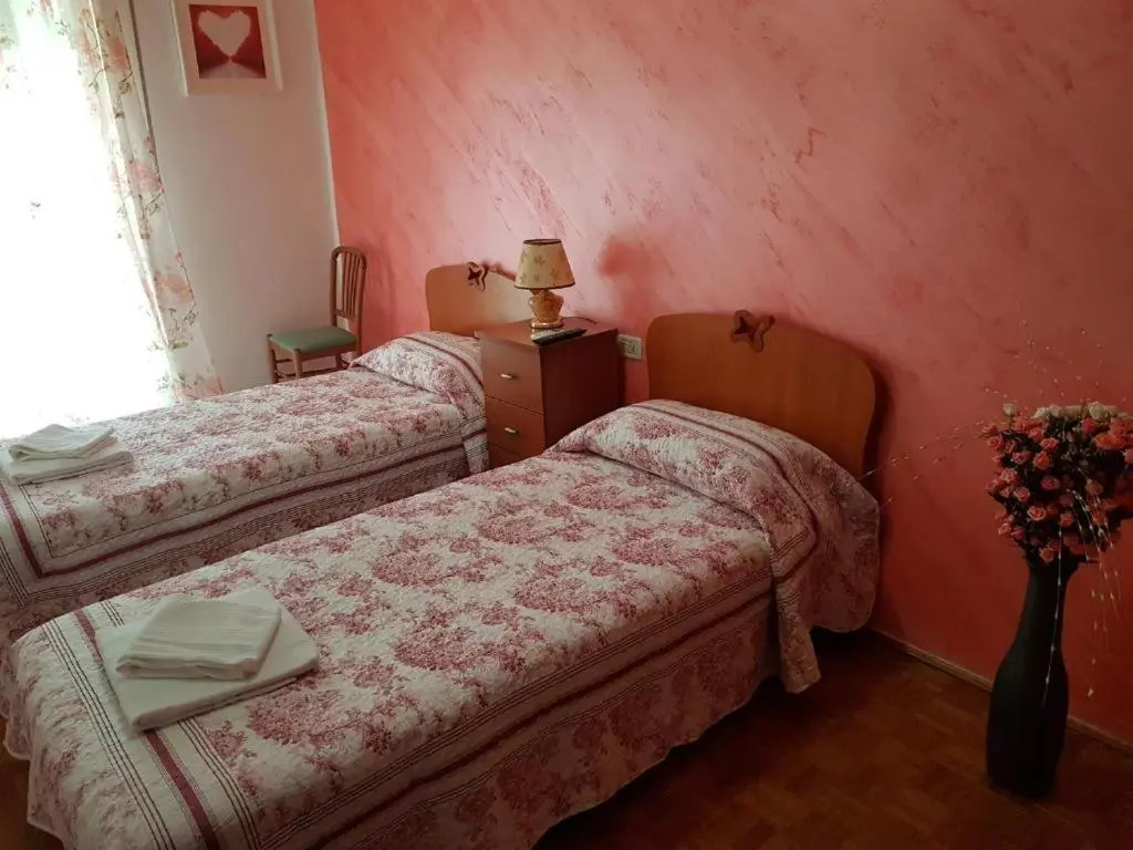 Standard Double room (twin beds)
