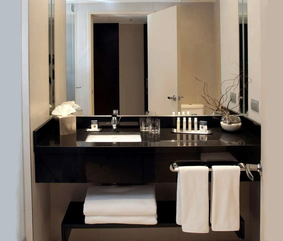 DoubleTree by Hilton Hotel Santiago - Vitacura - Chambres