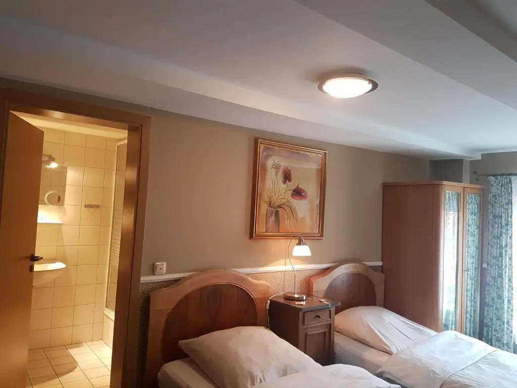 Standard Double room (twin beds)