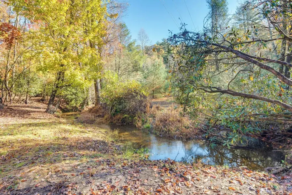 4 Mi to Dtwn Brevard: Modern Pisgah Forest Getaway