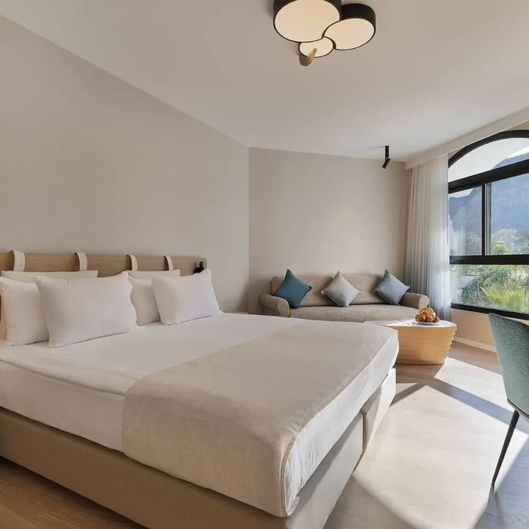 Deluxe Double room with mountain view (full double bed)