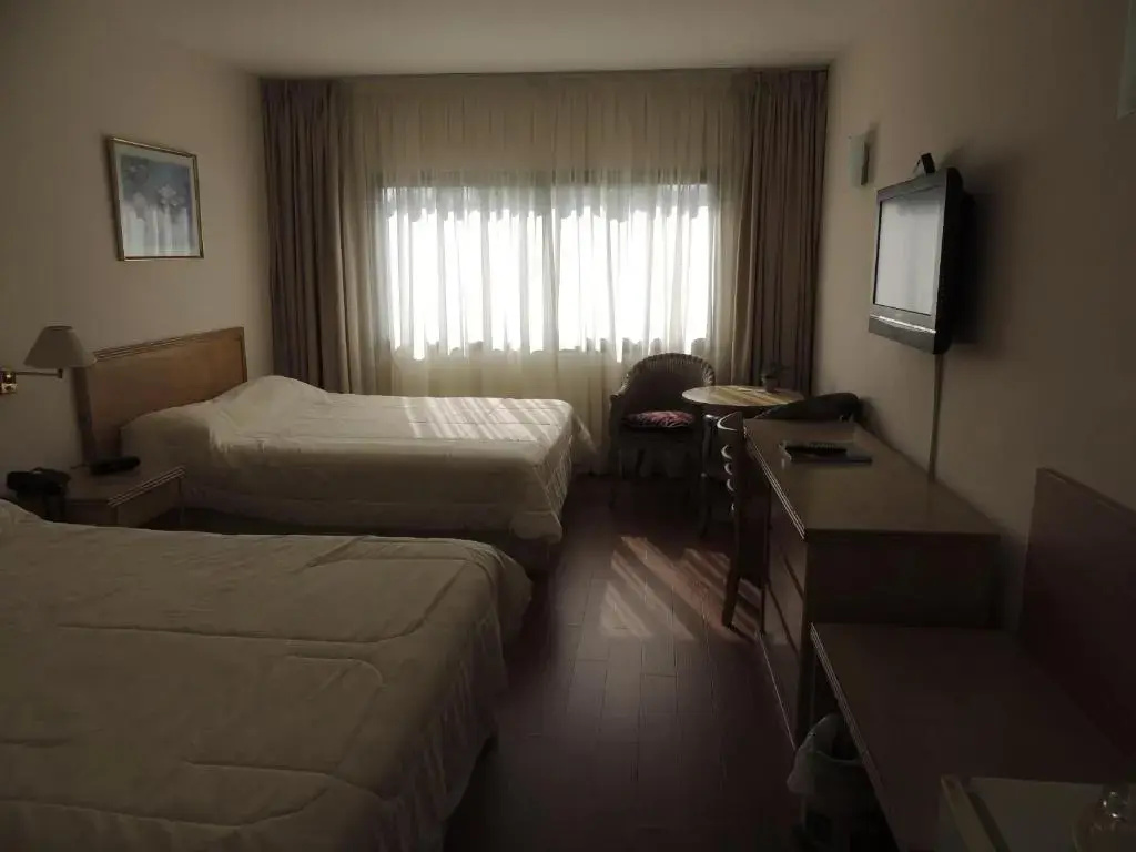 Standard Double room (twin beds)