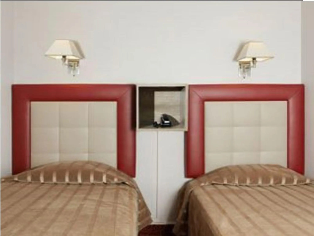 Superior Double room (twin beds)