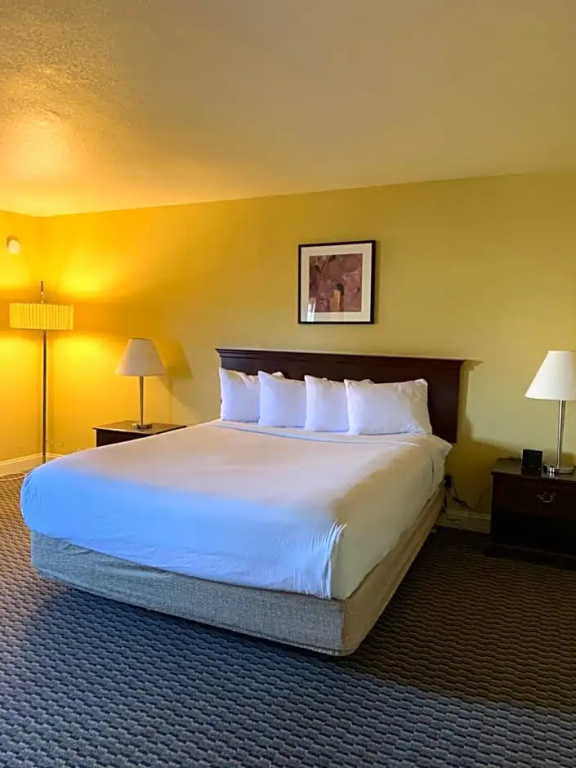Ramada by Wyndham West Sacramento Hotel and Suites - Chambres